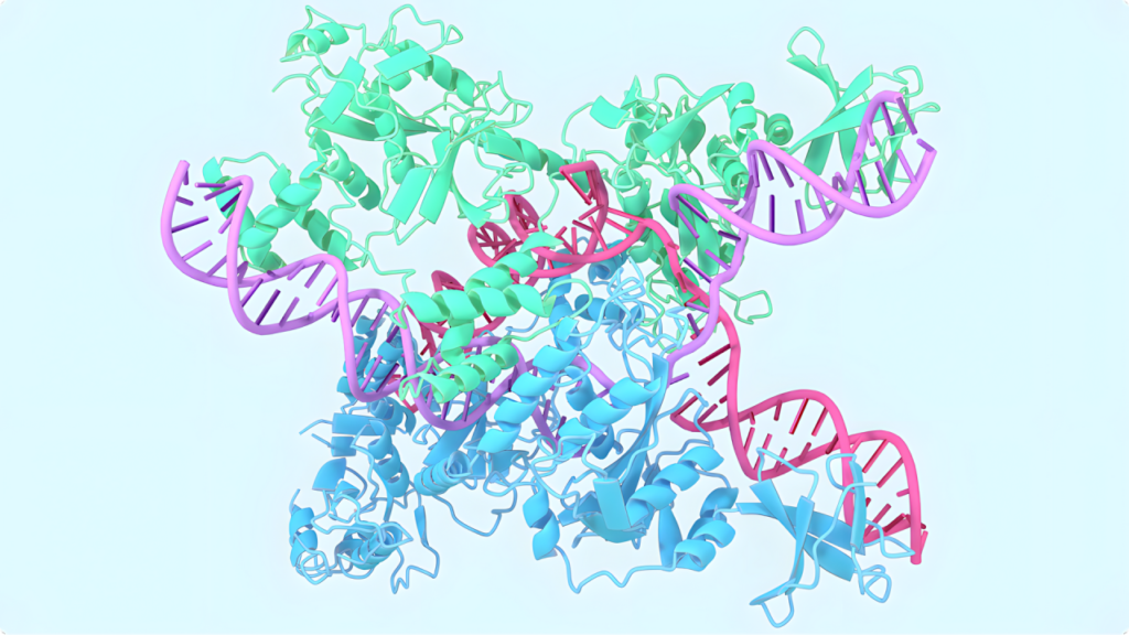 Real-world applications of AlphaFold 3 in drug discovery, disease research, and more.